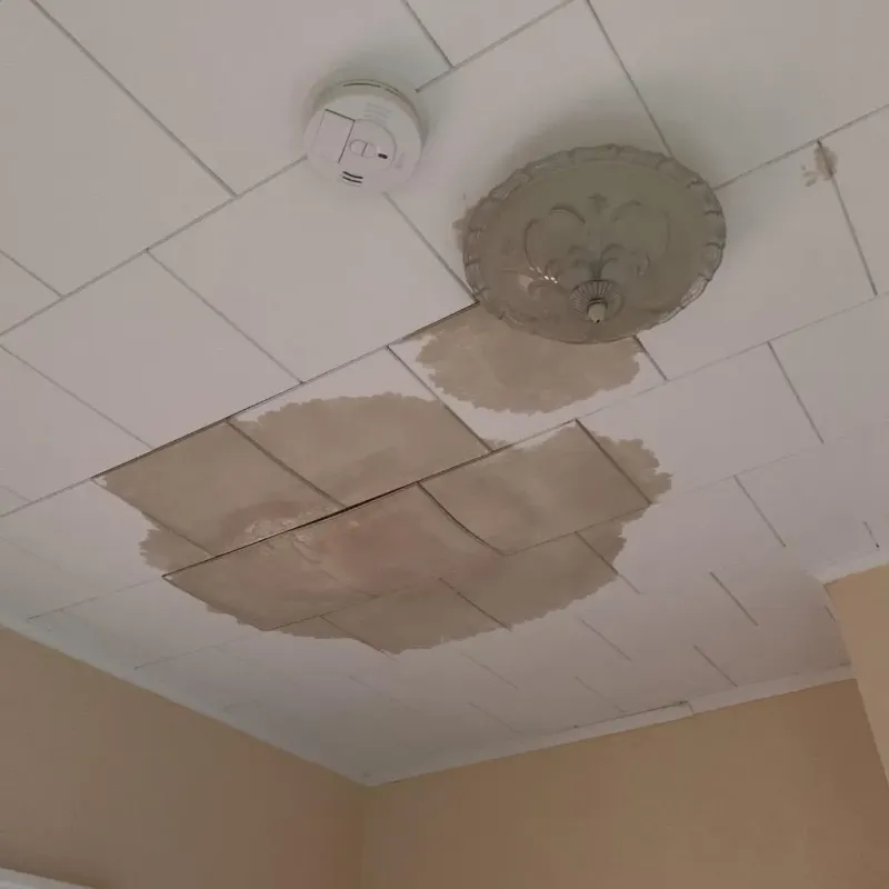 Ceiling Water Damage Repair in Howard County, AR