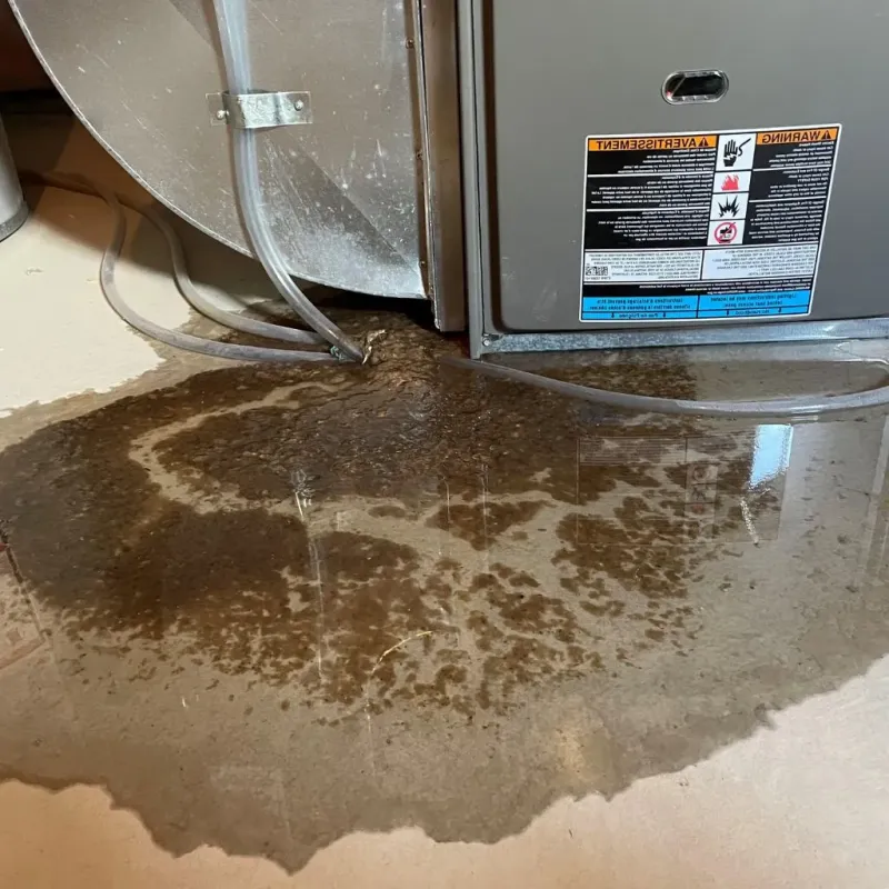 Pipe Burst and Leak Restoration in Howard County, AR